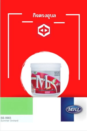 สีน้ำพิเศษนอก-ใน M1#SS-9903 2.5 กล.