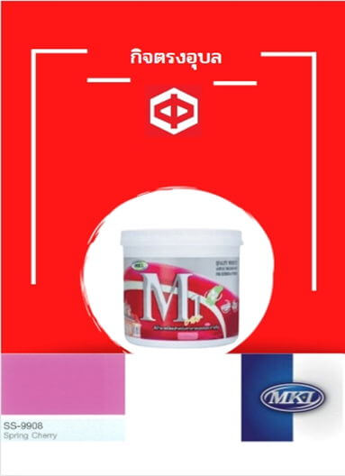 สีน้ำพิเศษนอก-ใน M1#SS-9908 2.5 กล.