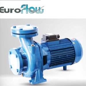 ปั๊มน้ำ EUROFLOW WSF300/3 3แรง3นิ้ว1เฟส