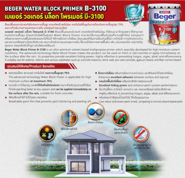 beger water block primer B-3100