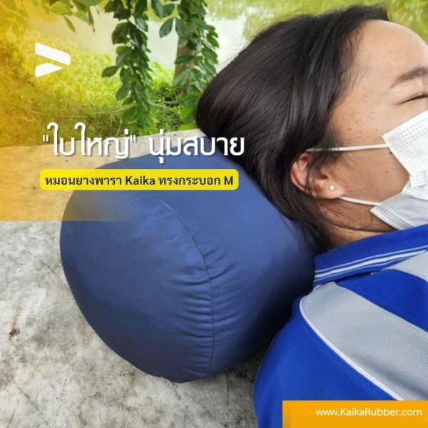 หมอนยางพาราบด ทรงกระบอก รุ่นM สีกรมกันน้ำ - Image 3