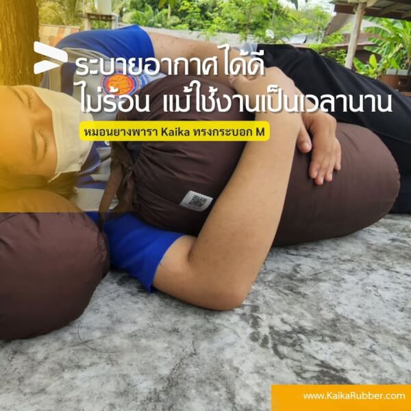 หมอนยางพาราบด ทรงกระบอก รุ่นM สีกรมกันน้ำ - Image 8