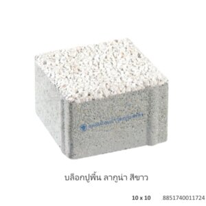 บล็อกปูพื้น ลากูน่า 10×10ซม. ขาว