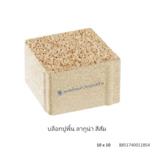 บล็อกปูพื้น ลากูน่า 10×10ซม. ส้ม