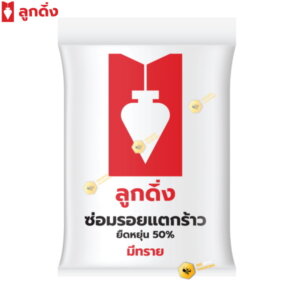 ลูกดิ่ง ปูนซ่อมรอยแตกร้าว ชนิดมีเม็ดทราย