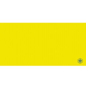 จาไมก้า เยลโล่ 30x60 CS-63002