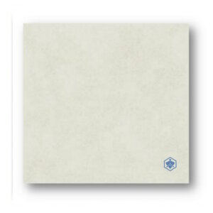 SA-N 300x300 CERAM STORM(ITEM 333214)(A)