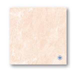 60X60 แฟน อัคนี-ส้ม R/T (FAM) (A)