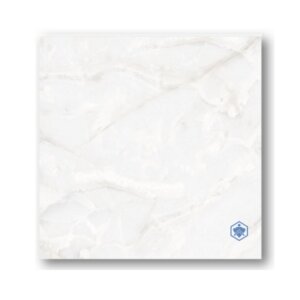 FT 60x60 โซนิคมาร์เบิลเทา(HYG/PK4)R/T PM
