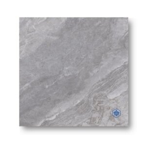 FT 60X60 ซาราโกซา เทา (HYG) R/T PM