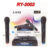 ไมค์ลอยคู่ WIRELESS MICROPHONE SYSTEM รุ่น A-one 2002