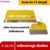 RUBYSHOP เกรียงปาดปูน สีเหลือง 4 ขนาด เกรียงฉาบปูน เกรียงโบกปูน เกรียงสแตนเลสด้ามไม้
