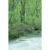 GL 24X36 FLOWERY 001 PM