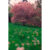 GL 24X36 FLOWERY 004 PM