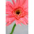 GL 24X36 FLOWERY 010 PM