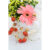 GL 24X36 FLOWERY 011 PM