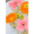 GL 24X36 FLOWERY 012 PM