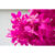 GL 24X36 FLOWERY 019 PM