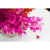 GL 24X36 FLOWERY 021 PM