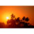 GL 24X36 SCENERY 008 PM
