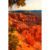 GL 24X36 SCENERY 018 PM