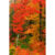 GL 24X36 SCENERY 020 PM