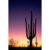 GL 24X36 SCENERY 022 PM