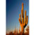 GL 24X36 SCENERY 023 PM