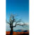GL 24X36 SCENERY 024 PM