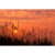 GL 24X36 SCENERY 025 PM