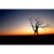 GL 24X36 SCENERY 031 PM