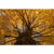 GL 24X36 SCENERY 032 PM