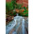 GL 24X36 SCENERY 038 PM