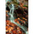 GL 24X36 SCENERY 039 PM