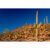 GL 24X36 SCENERY 071 PM
