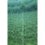GL 24X36 SCENERY 082 PM