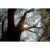 GL 24X36 SCENERY 088 PM