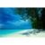 GL 24X36 SCENERY 091 PM