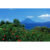 GL 24X36 SCENERY 094 PM