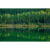 GL 24X36 SCENERY 099 PM