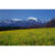 GL 24X36 SCENERY 101 PM