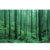 GL 24X36 SCENERY 112 PM
