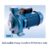 ปั้มน้ำหอยโข่ง Pump Euroflow WC300 3แรง 1เฟส