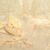GP SLATE RESORT BEIGE 12X12 PM สเลท รีสอร์ท เบจ