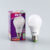 หลอด LED Warm white 9W EVE
