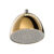 หัวฝักบัวก้านแข็งพร้อมลำโพงบลูทูธ(สีทอง) Z002V#GR