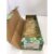 PHOENIX CONTACT GROUP MARKER TERMINAL BLOCK KLM-A + ES/KLM2+GB