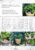 สวนน้ำพุในกระถาง