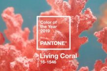 Pantone ประกาศสีประจำปี 2019 คือ Living Coral สีแห่งประการังมีชีวิต