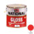 สีเคลือบน้ำมัน NATIONAL GLOSS #401 Tangerine-1GL.